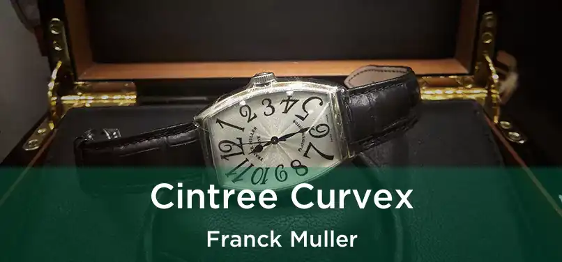  Cintree Curvex Franck Muller
