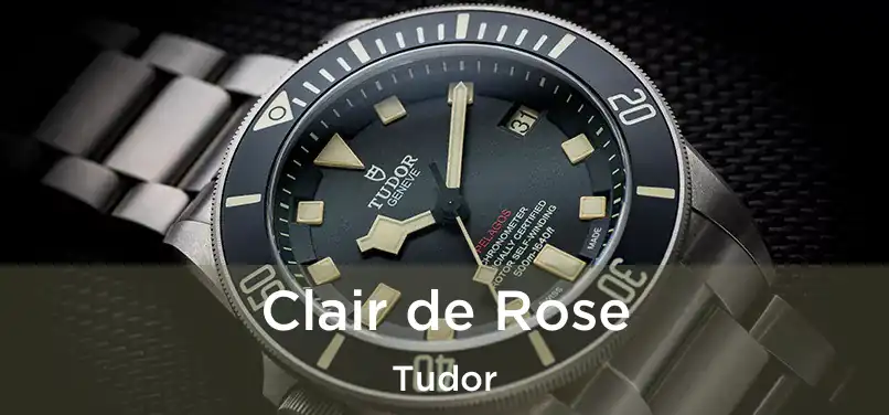  Clair de Rose Tudor