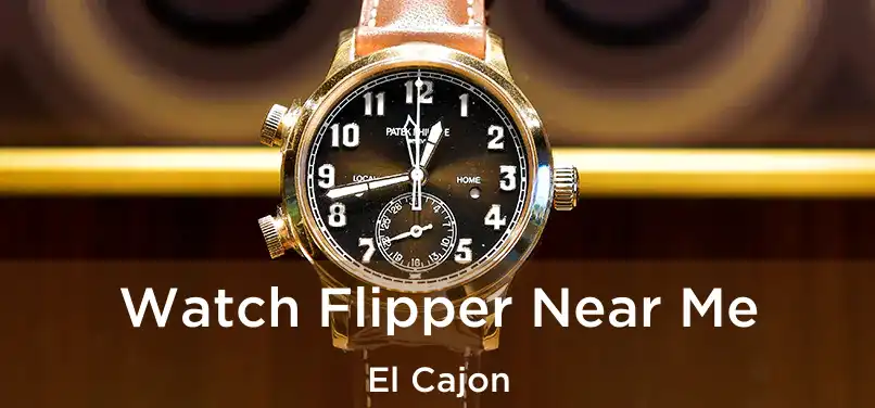  Watch Flipper Near Me El Cajon